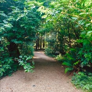 Meet your Posher, Freddy